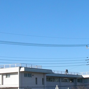 2015-02-01_09：23 空模様　宇都宮